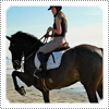 Exclusive Candid Photo; Mack on her old horse Mentos Junior at Morro Bay on the beach side.