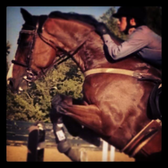EXCLUSIVE NEW PHOTO: Mack Exercising A Horse In Show Jumping At Hansen Dam Equestrian Center in Sylmar, CA on Saturday 8th June 2013
Keywords: exclusive59