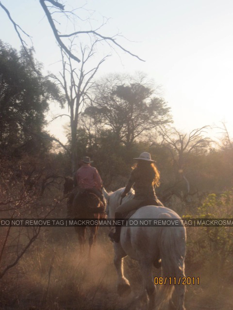 Mack's African Horseback Safari at Okavango, Botswana in August 2011
Keywords: ahs7