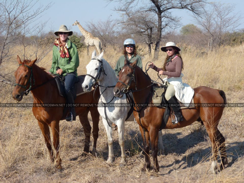Mack's African Horseback Safari at Okavango, Botswana in August 2011
Keywords: ahs22