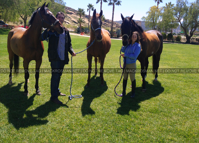 EXCLUSIVE NEW PHOTO: Mack & David Posing With Odysseus & Two Other Horses in 2012
From Mack: "The Equine Family." - 6th July 2012
Keywords: exclusive8