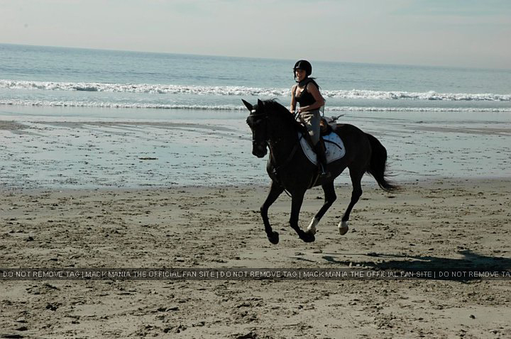 Horse Riding at Morro Bay in the Sunshine
Keywords: morro3