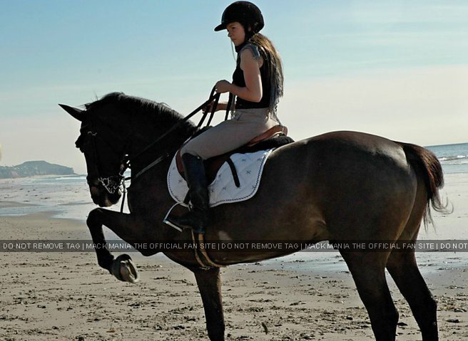 HORSE RIDING AT MORRO BAY IN THE SUNSHINE
Keywords: morro4