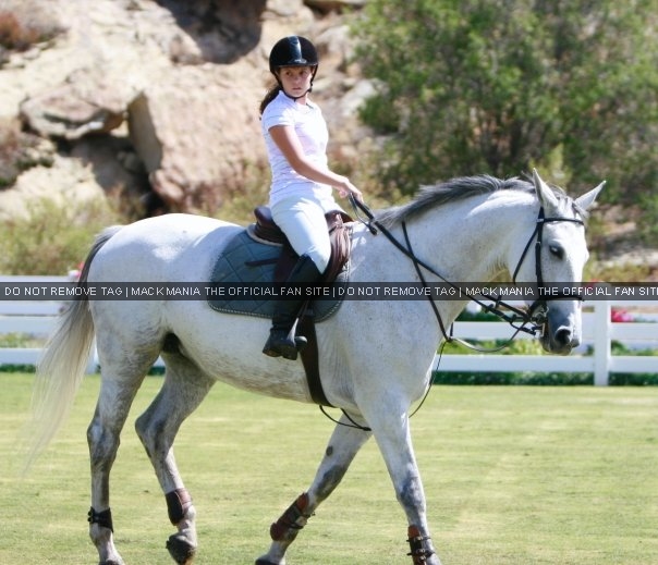 Exclusive Horse & Showjumping Photograph's - Mack & Fantasia
Keywords: excl2