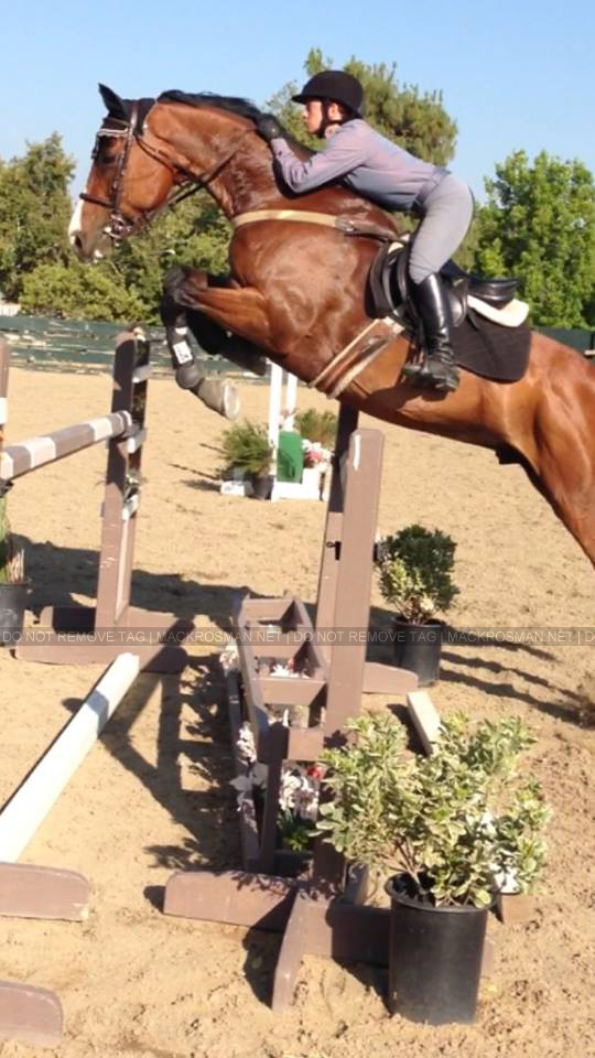 EXCLUSIVE NEW PHOTO: Mack Exercising A Horse In Show Jumping At Hansen Dam Equestrian Center in Sylmar, CA on Saturday 8th June 2013
Keywords: exclusive58