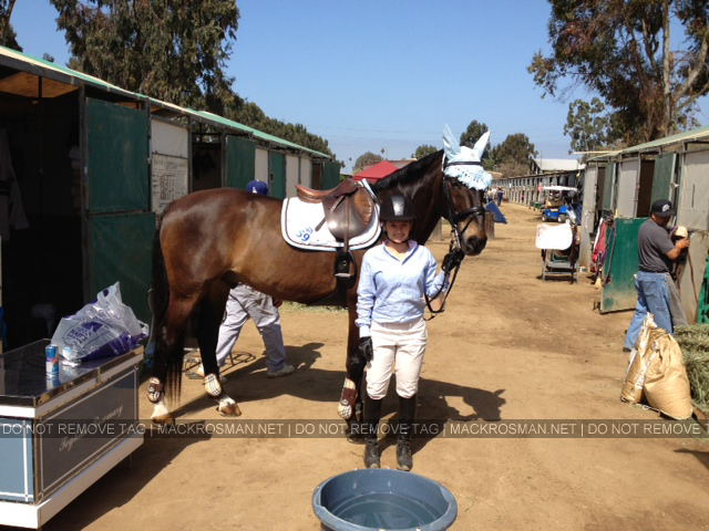 EXCLUSIVE NEW PHOTO: Mack standing with Odysseus at a horse-jumping show back on the 31st of March 2012
From Mack: "At the horsey show with Odysseus. Only after the fact, did I realize the embarrassment he must have felt wearing the baby blue mopish thing I had selected for his fly bonnet." - 6th July 2012
Keywords: exclusive1
