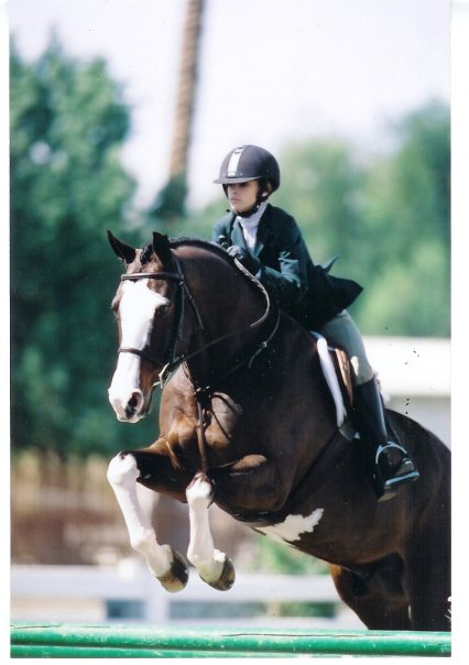 Tribute: In Memory of Katelyn Salmont - Showjumping Competition
Keywords: kat17
