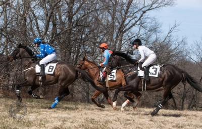 Mackenzie Rosman competing in the Piedmont Point to Point Hunt Race on March 26th, 2018
Keywords: mack