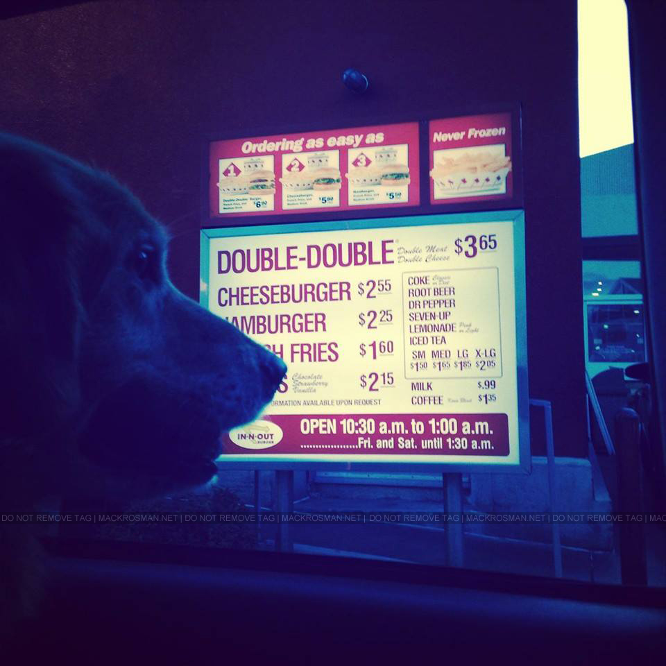 EXCLUSIVE CANDID PHOTO: Macks Dog Riley Got Hungry For Some In N Out on 22nd August 2014
Keywords: mackenzierosman 7thheaven rileydog