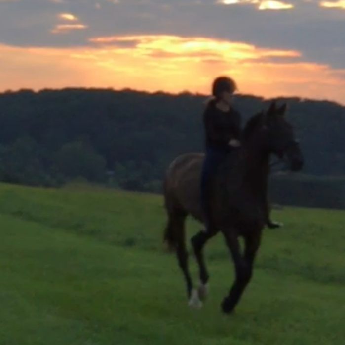 EXCLUSIVE CANDID: Mackenzie Rosman riding with Odysseus into the Summer sunset on 25th August 2017
Mackenzie Rosman riding with Odysseus into the Summer sunset on 25th August 2017
Keywords: mackenzierosman 7thheaven jessicabiel actress ruthiecamden beverleymitchell showjumping horseriding