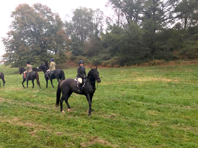 EXCLUSIVE CANDID: Mackenzie training and riding with Ody in October 2017
Mackenzie training and riding with Ody in October 2017 
