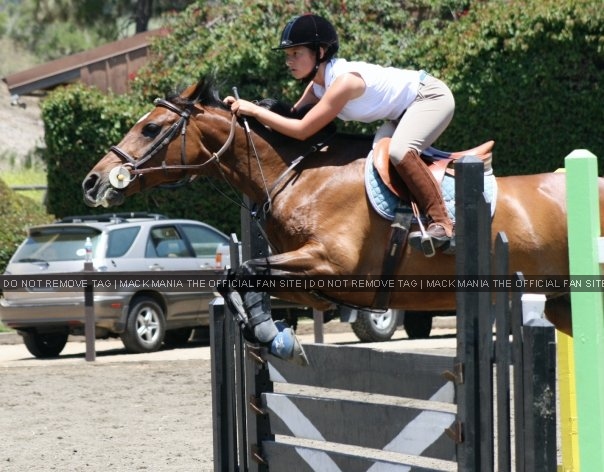 Exclusive Horse & Showjumping Photograph's - Mack & Mentos Junior
Keywords: ecl2