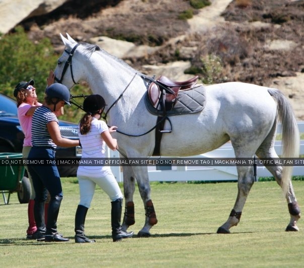 Exclusive Horse & Showjumping Photograph's - Mack & Fantasia
Keywords: ecl3