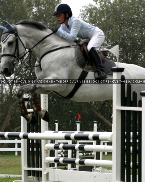 Mack Showjumping in a Competition
Keywords: showjumper1
