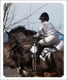 Mackenzie Rosman riding horse 'Sumo Power' in the Piedmont Point to Point Hunt Race on 26th March 2018