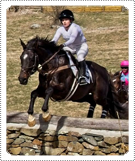 Mackenzie Rosman riding horse 'Sumo Power' in the Piedmont Point to Point Hunt Race on 26th March 2018