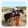 Exclusive: Mack Riding and Competing with Odysseus in the Thermal HITS Show-Jumping Competition on Saturday the 2nd of March 2013.