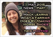 May 2015 News Part 1: EXCLUSIVE: MACKENZIE LEARNS A FARRIER'S WAY & SEE NEW PHOTOS!