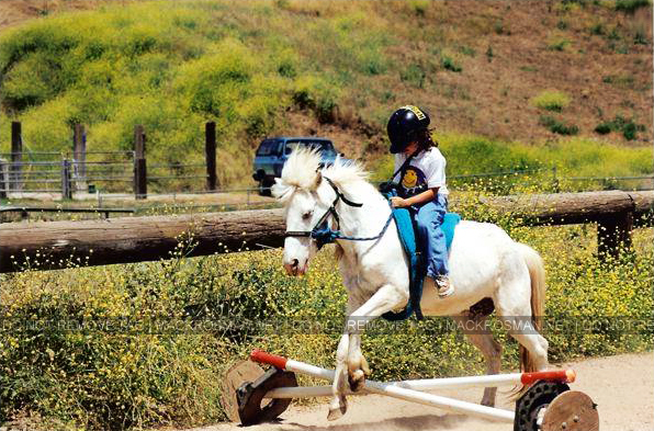EXCLUSIVE CANDID PHOTO: A Young Mack Riding 'Sugar Pony' For Her Very First Fence in Show Jumping 
Keywords: whitehorsey1