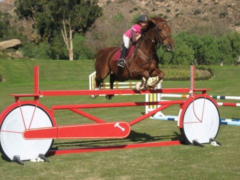 Tribute: In Memory of Katelyn Salmont - Showjumping Competition
Keywords: kat26