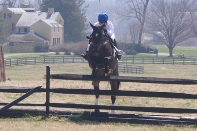 Mackenzie Rosman Competing At The Leith Remington Race April 2019
Mackenzie Rosman Competing At The Leith Remington Race April 2019
Keywords: mackenzierosman 7thheaven jessicabiel actress ruthiecamden beverleymitchell showjumping horseriding