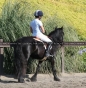 horseride1.jpg